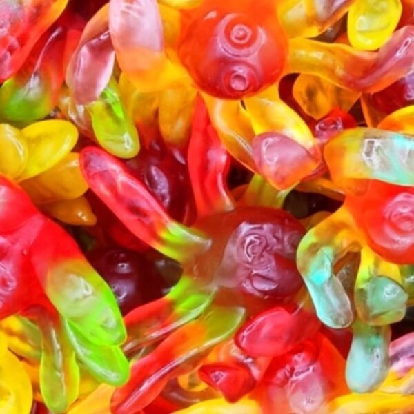 Pieuvres Lisses (Lot de 5) Halal | Candy image