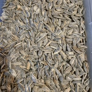 Pipas / Graines de Tournesol Salées