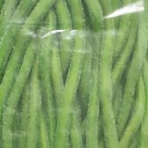 Cable fête foraine XXL – pistache sucré